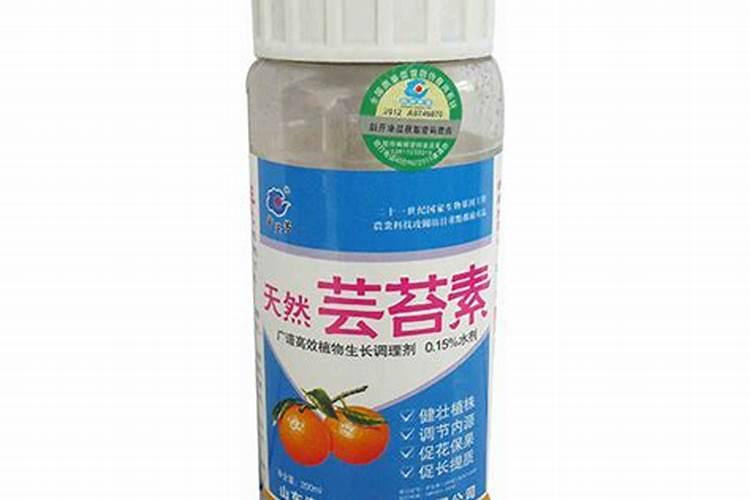 芸苔素内酯在 樱桃树上具体分那几个阶段使用能提高坐果率