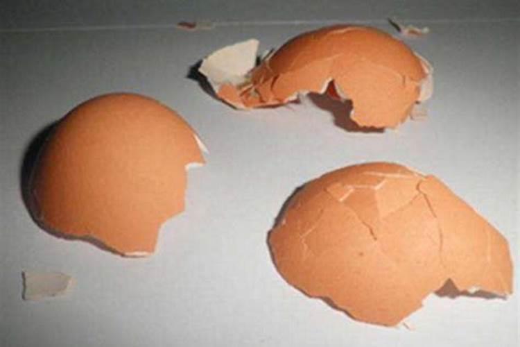 鸡蛋壳是磷肥还是钾肥 在土里需要分解多久