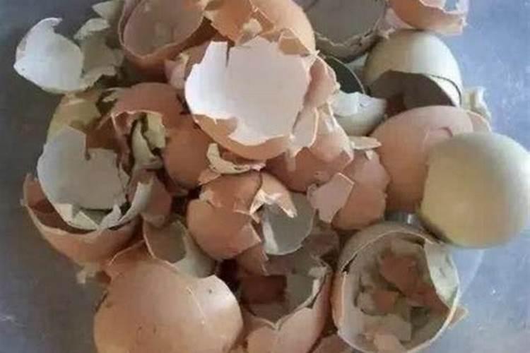 鸡蛋皮可以做肥料吗