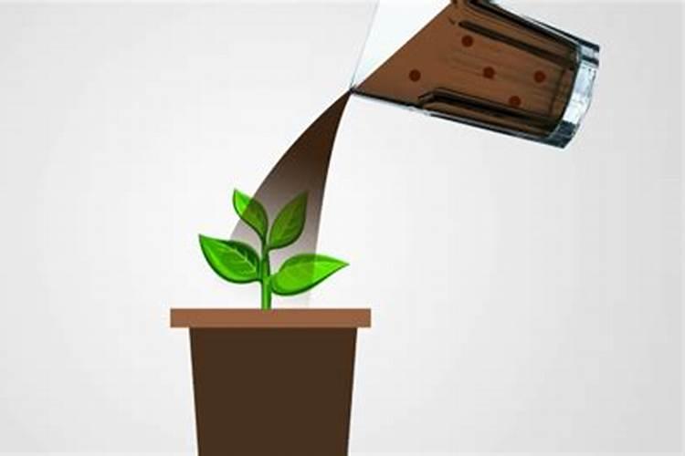 硫酸钾加醋浇花好吗