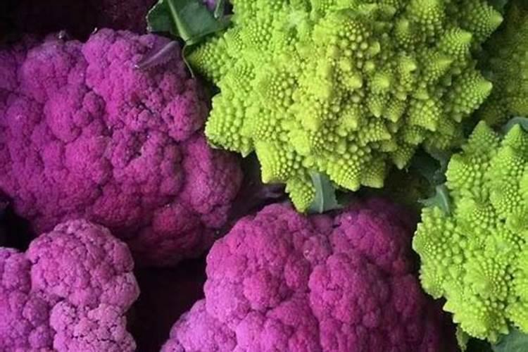 氮肥适合浇什么花