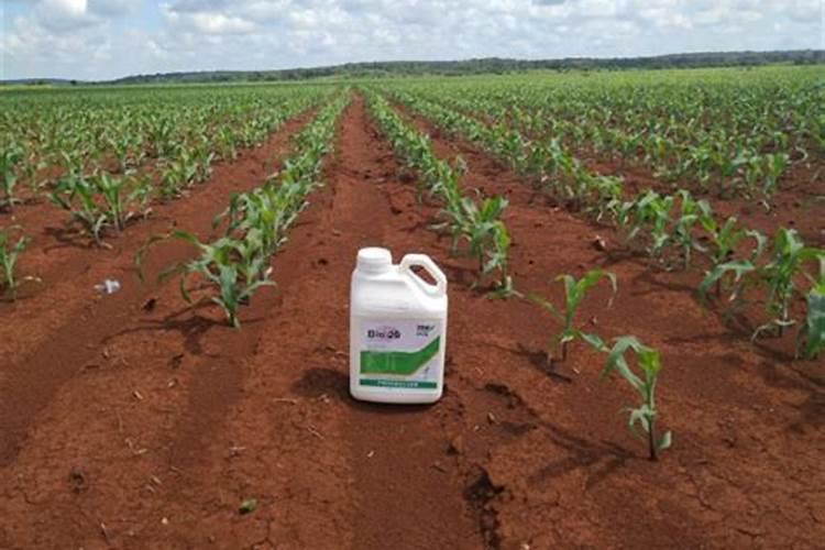 西安市鑫兴原肥业有限公司怎么样？