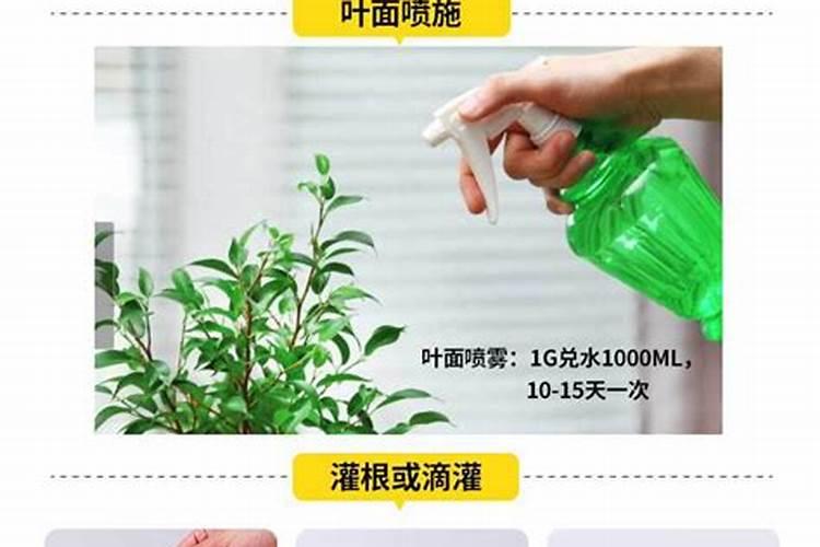 养花什么时候施氮肥(给花施氮肥比例是多少)