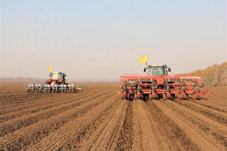 农村种菜新手入门翻地施肥