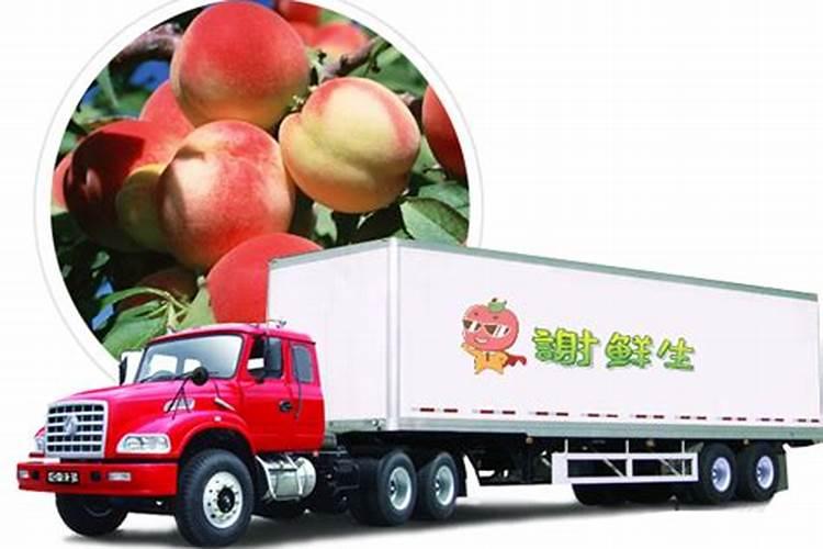 冬青卫矛是什么植物用什么除草剂没有危害？