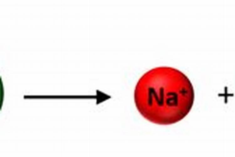 Na是大量元素吗
