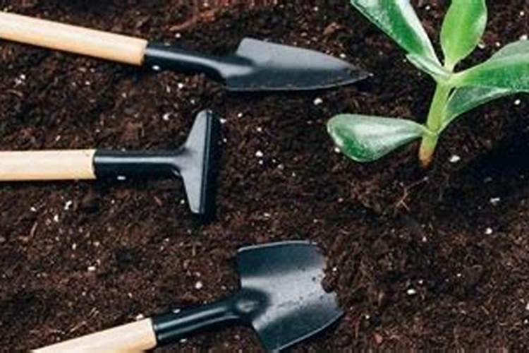 甲霜恶霉灵能和生根液一起使用吗