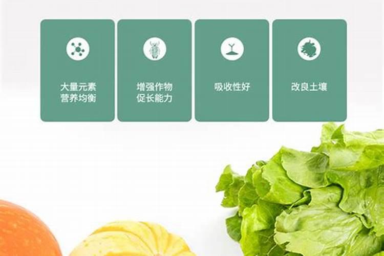 富晒茶叶属于什么茶