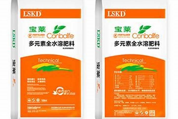 兰花换盆后多久施肥