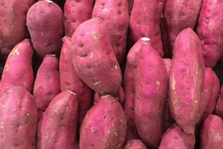 种植红薯想要亩产过万,都有哪些技巧？