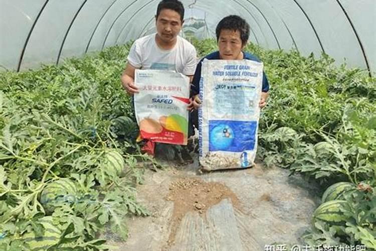 碗莲水溶肥的使用方法