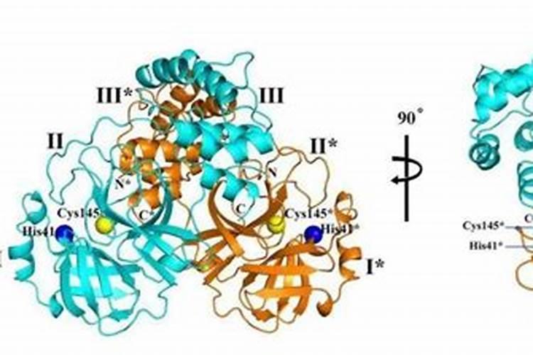 可溶性食用鱼蛋白产量
