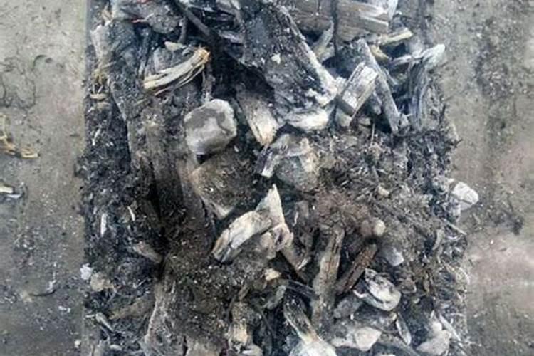 柴灰可以做肥料吗