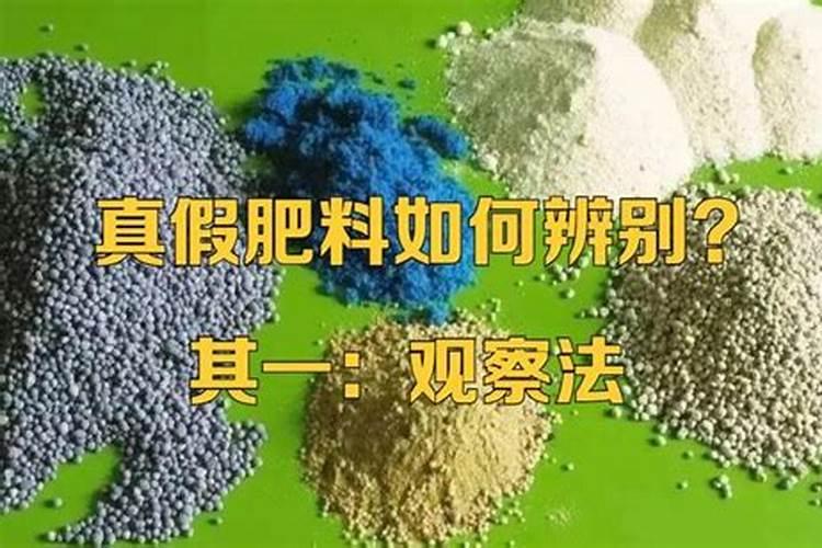 葡萄果树喷施杀菌药在一天的什么时间好