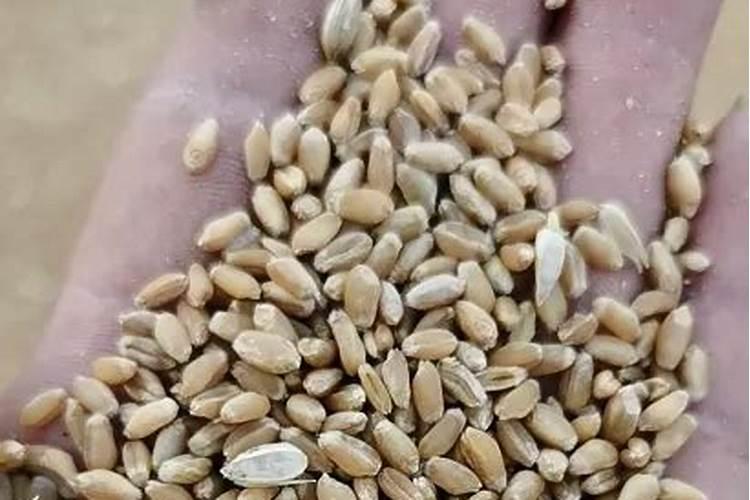 泗县属于安徽的哪个市