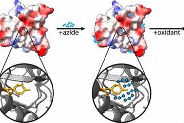 水溶肥是有机肥吗 有机水溶肥是什么肥料