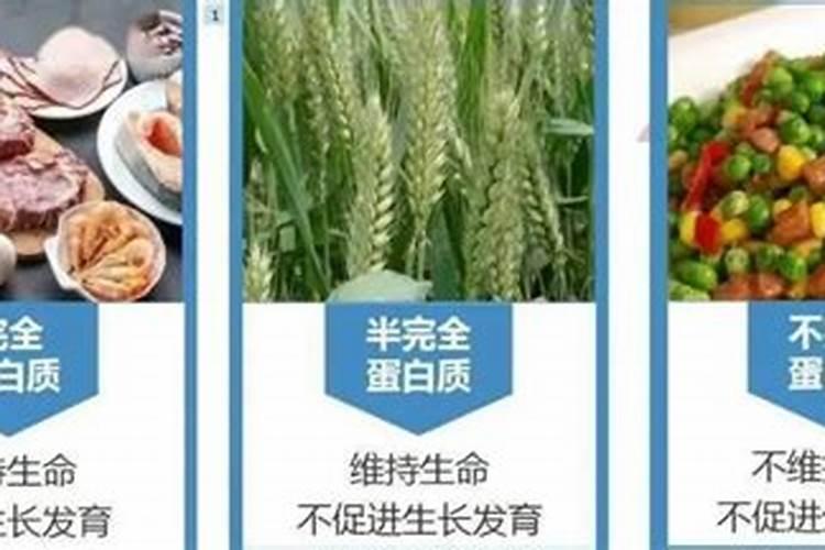 什么是氨基酸水溶肥,它有什么作用和优势？