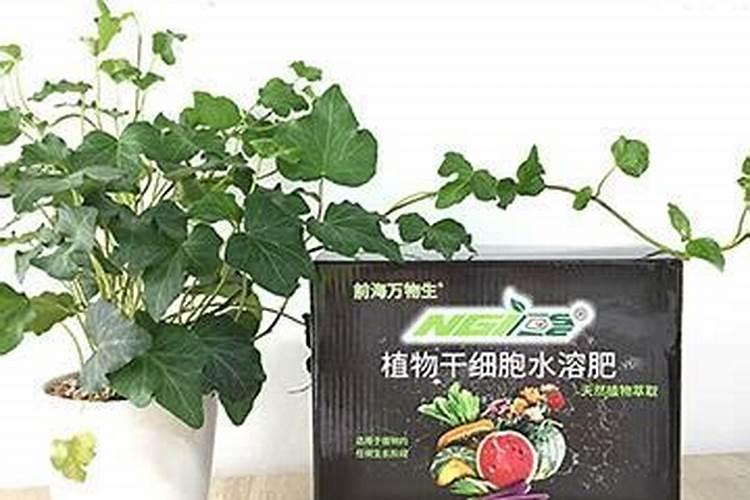 氮磷钾肥有哪些