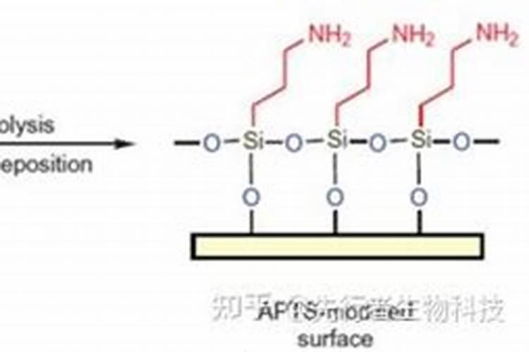 黄瓜冲施哪种水溶肥好
