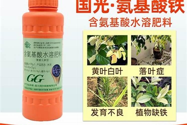 氨基酸对果树使用时间