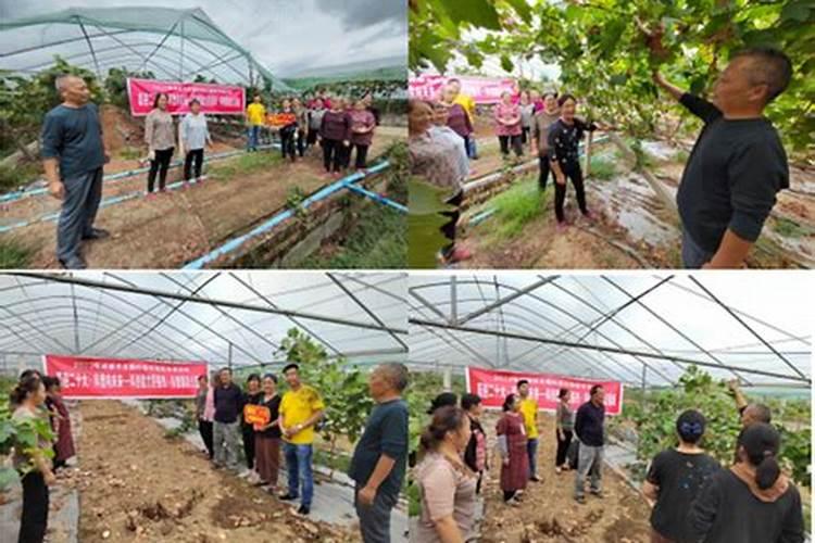 美国世多乐哈维果水溶肥4千克一袋的多少钱？