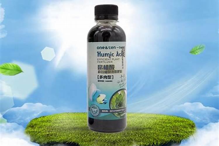 多肉用什么肥料施肥最好