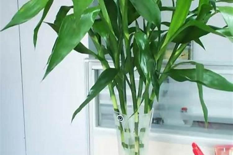 徐闻县锦和供销合作社胜利路口第一肥料门市部怎么样？