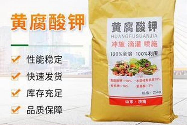 柿子树结柿子后用什么肥料膨果？