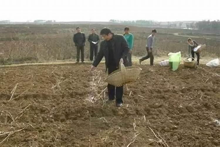 水溶肥跟尿素的区别