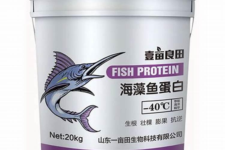 海藻鱼蛋白水溶肥后期能用在大姜上面吗