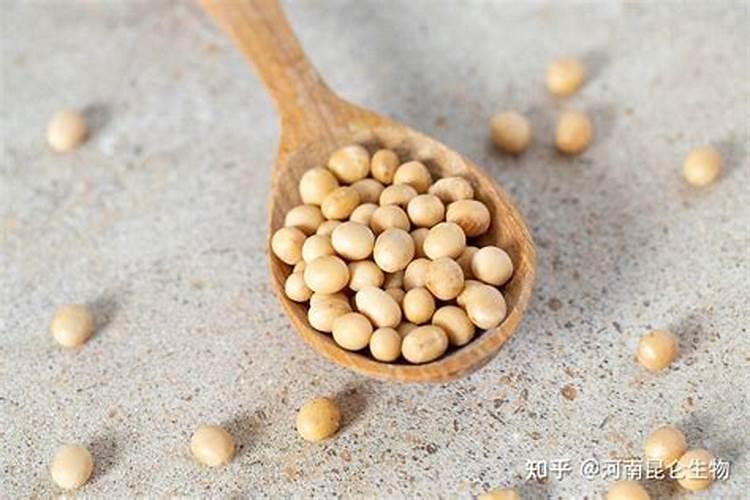 月季花的施肥方法及使什么肥