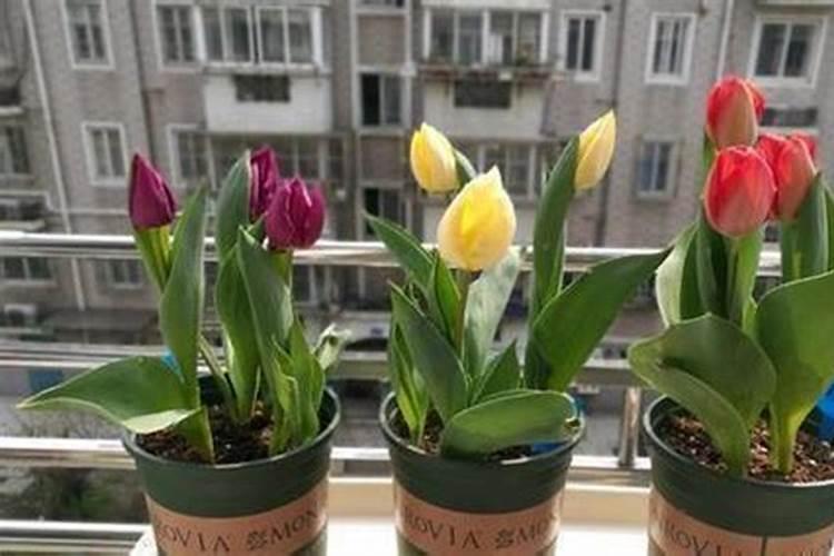 土壤为何五颜六色？阅读答案