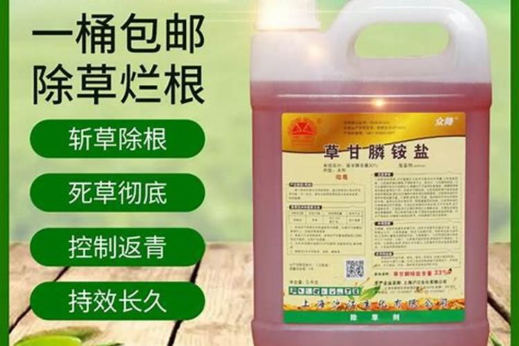 果园除草用什么除草剂不伤根