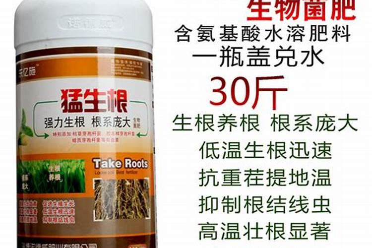 沙土地种大蒜最佳肥料