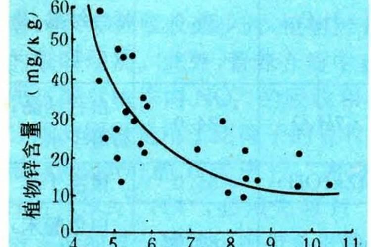 磷肥适合哪些花