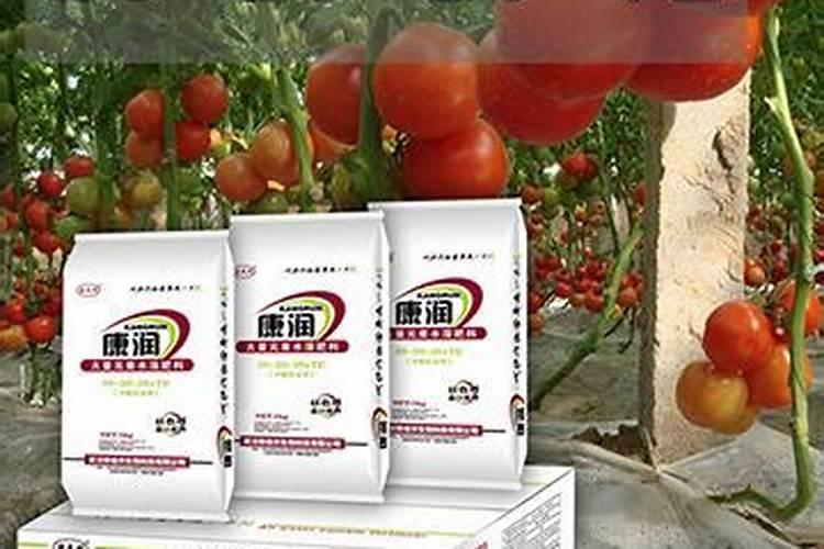 芝麻施肥正确方法