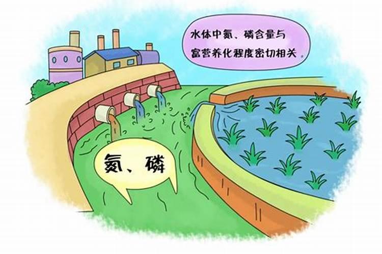 氮肥对环境的影响