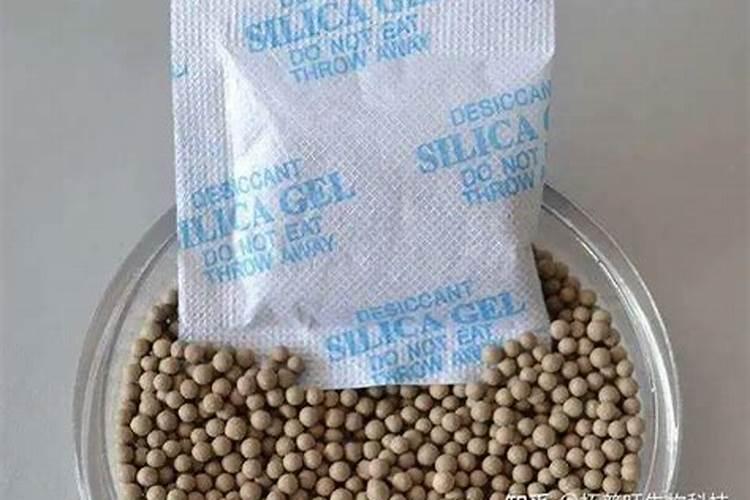 「原斗」来自雪兰莪沼泽地的蓝眼精灵,利维达斗鱼