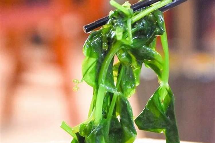 多肉需要施肥吗