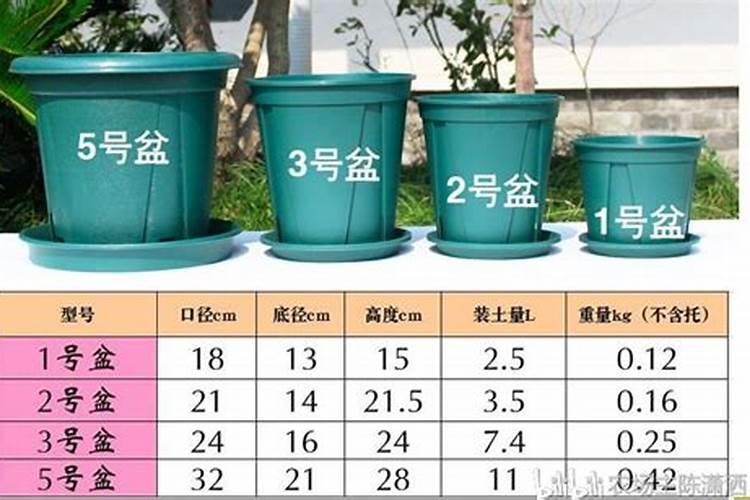 25厘米花盆放4,5克磷钾肥会不会烧根