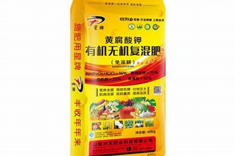 松柏怎么养才能旺盛 松柏的养法