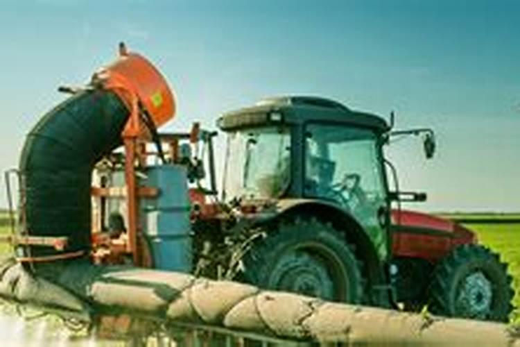 广东丝瓜刚刚结瓜施什么肥好