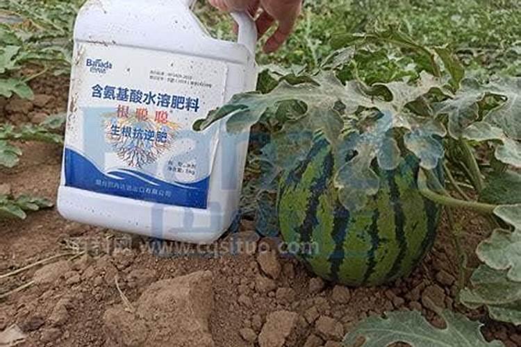 磷酸三钠的作用和用途