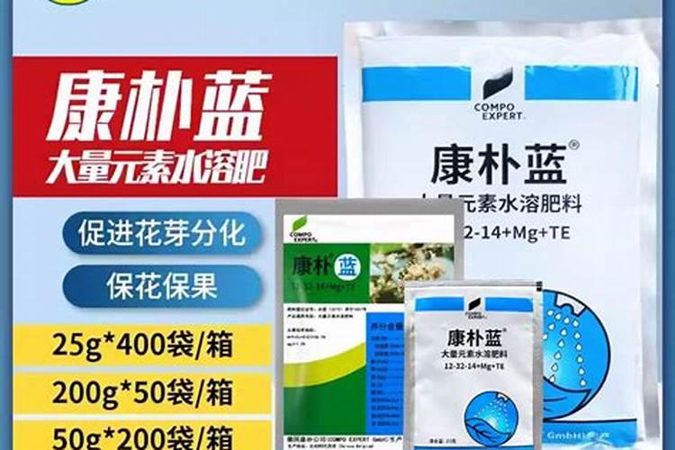 桂花树移植后老是不发芽,且经常掉叶子