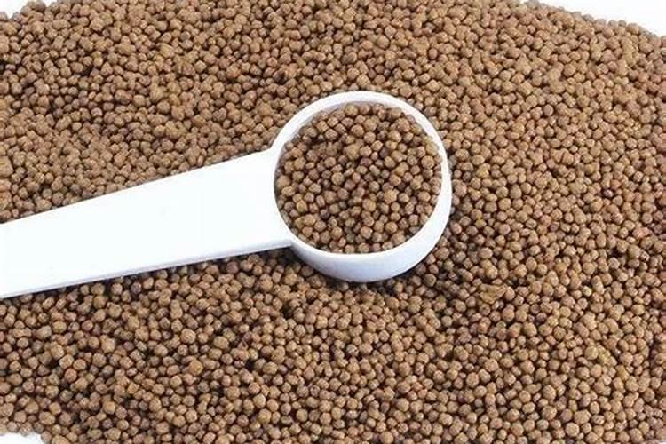 桂花树移栽过来落叶了怎么办？