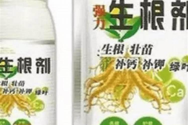 芸苔素能拌麦种吗