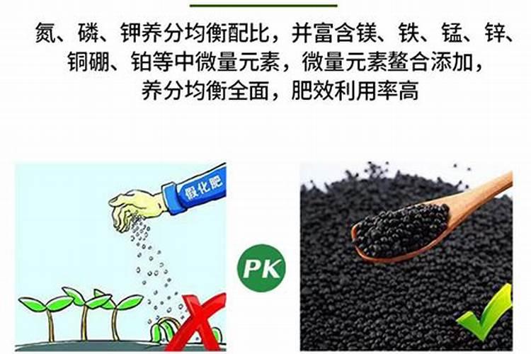 生菜施什么肥长得又大又肥