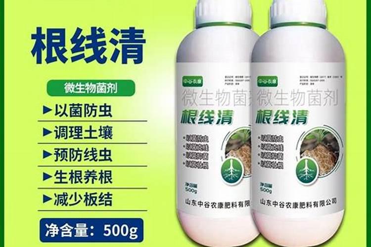 水养吊兰用什么肥