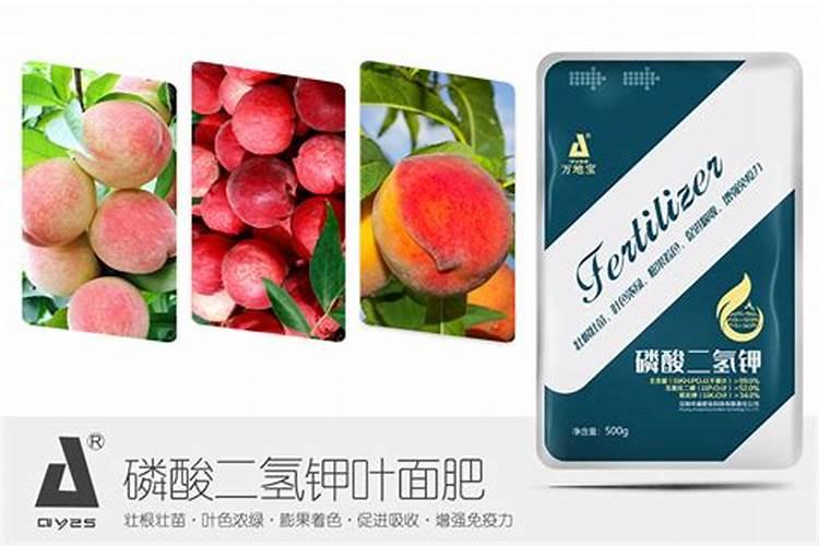 种水蜜桃施什么肥