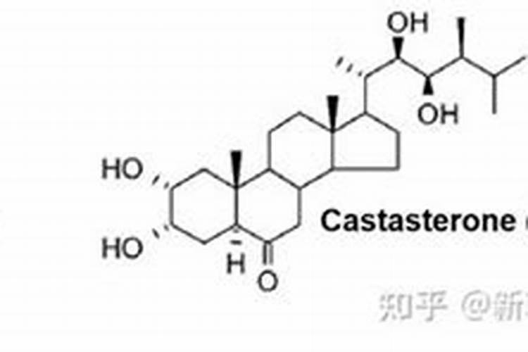 三十烷醇、芸苔素、复硝酚钠、胺鲜酯膨果增产到底有啥异同？